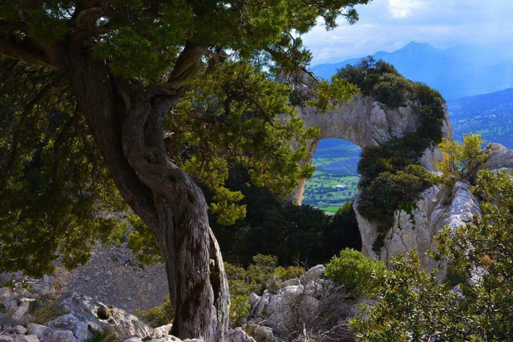 Canne Al Vento Гальтелли Экстерьер фото